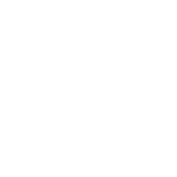 car-insurance